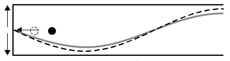Figure for Answer to Question (ii) — IB Physics SL