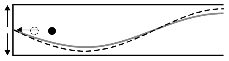 Figure for Answer to Question (ii) — IB Physics HL