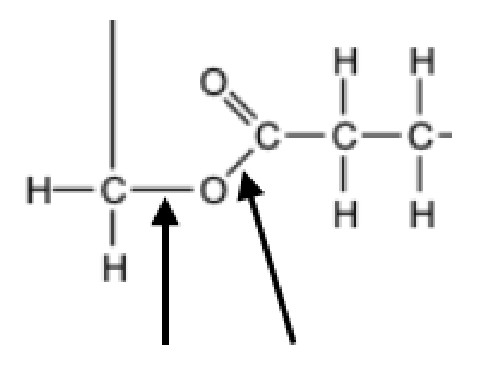 Figure for Answer to Question (b) — IB Biology HL