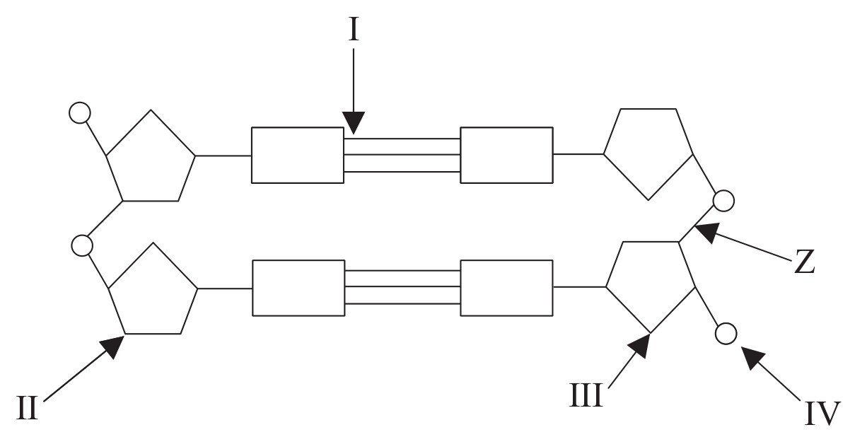 Figure for Question 1 — IB Biology HL