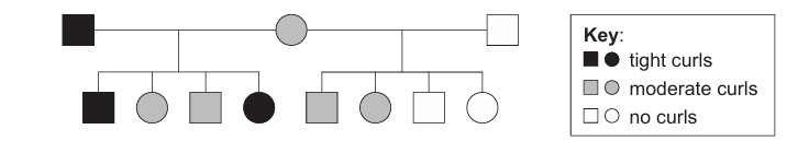 Figure for Question 1 — IB Biology HL