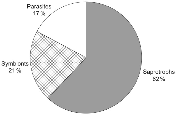 Figure for Question 1 — IB Biology SL