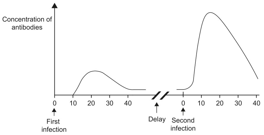 Figure for Question 1 — IB Biology SL