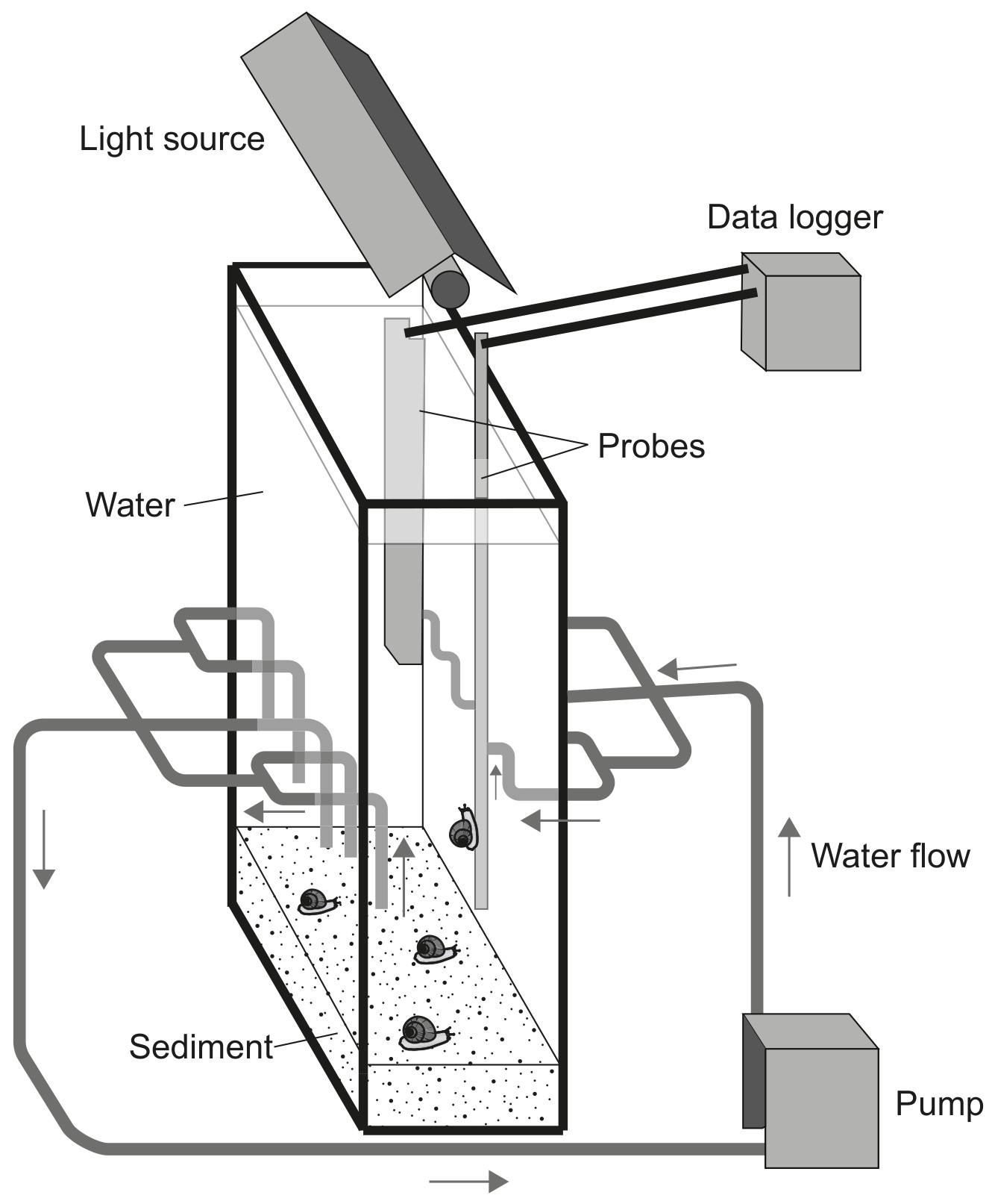 Figure for Question 1 — IB Biology HL