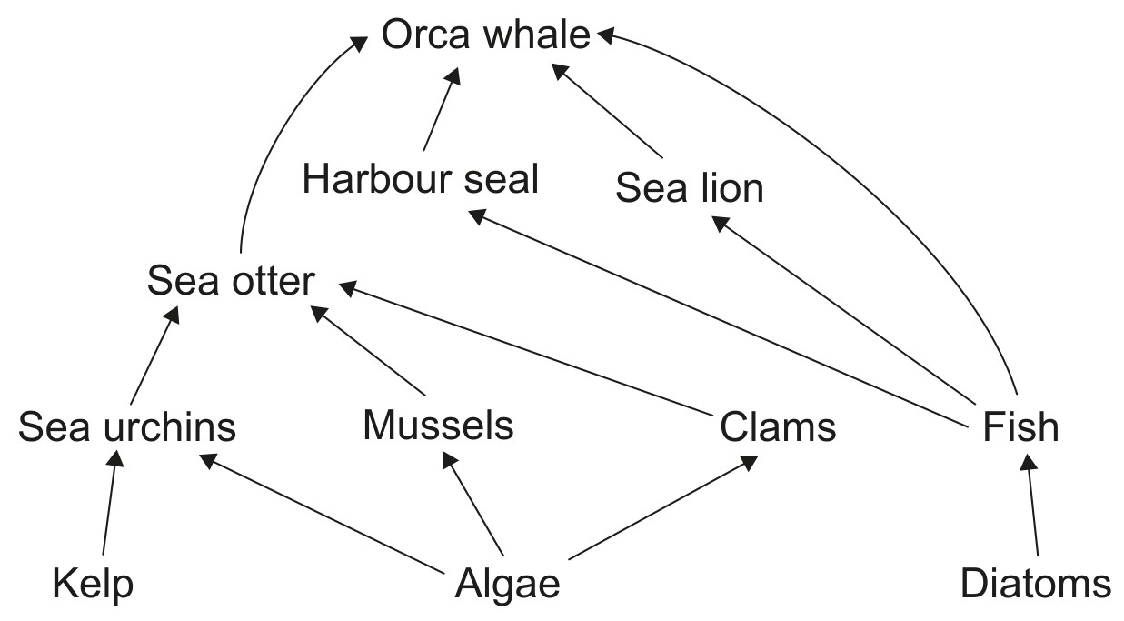 Figure for Question 1 — IB Biology HL