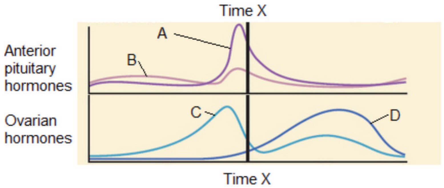 Figure for Question 1 — IB Biology HL