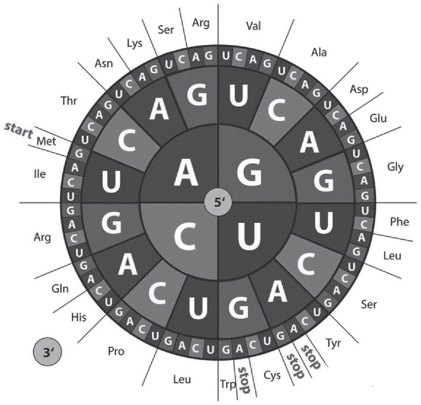 Figure for Question 1 — IB Biology HL