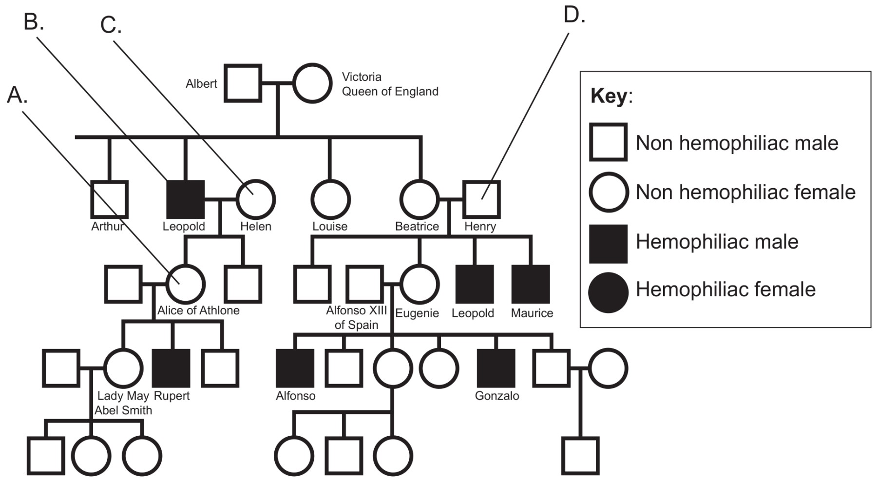 Figure for Question 1 — IB Biology HL