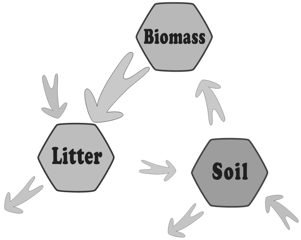 Figure for Question 1 — IB Biology HL