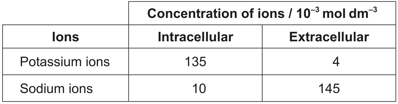 Table for Question 1 — IB Biology HL
