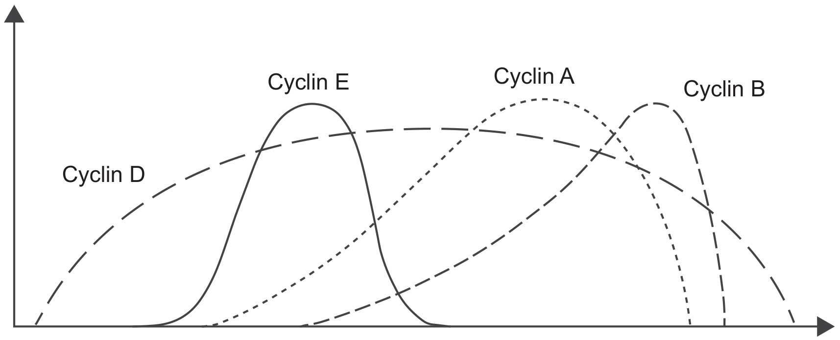 Figure for Question 1 — IB Biology HL