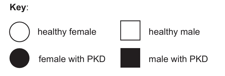 Figure for Question (b) — IB Biology SL