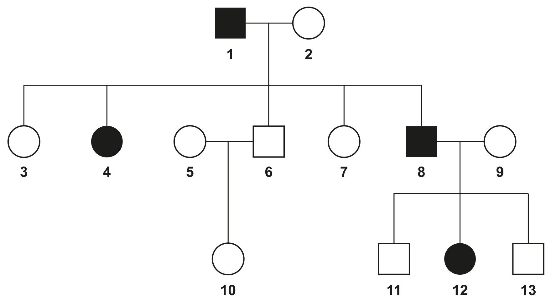 Figure for Question (b) — IB Biology SL