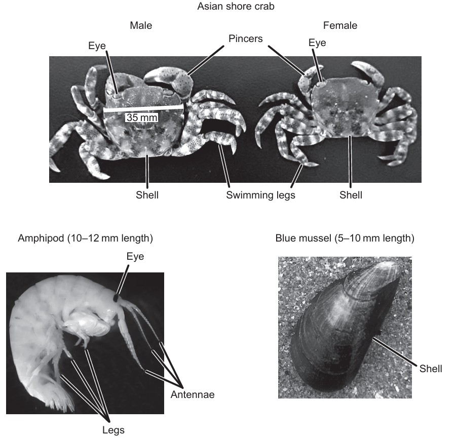 Figure for Question 1 — IB Biology SL