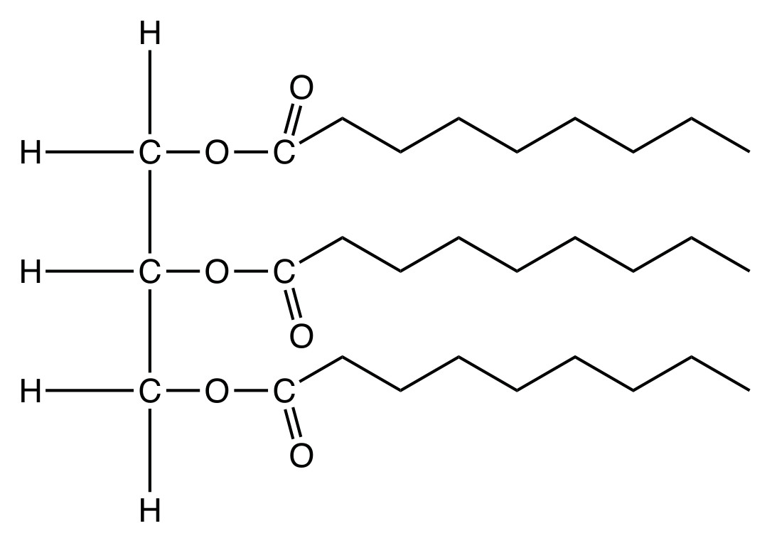 Figure for Question 1 — IB Biology SL — Option C