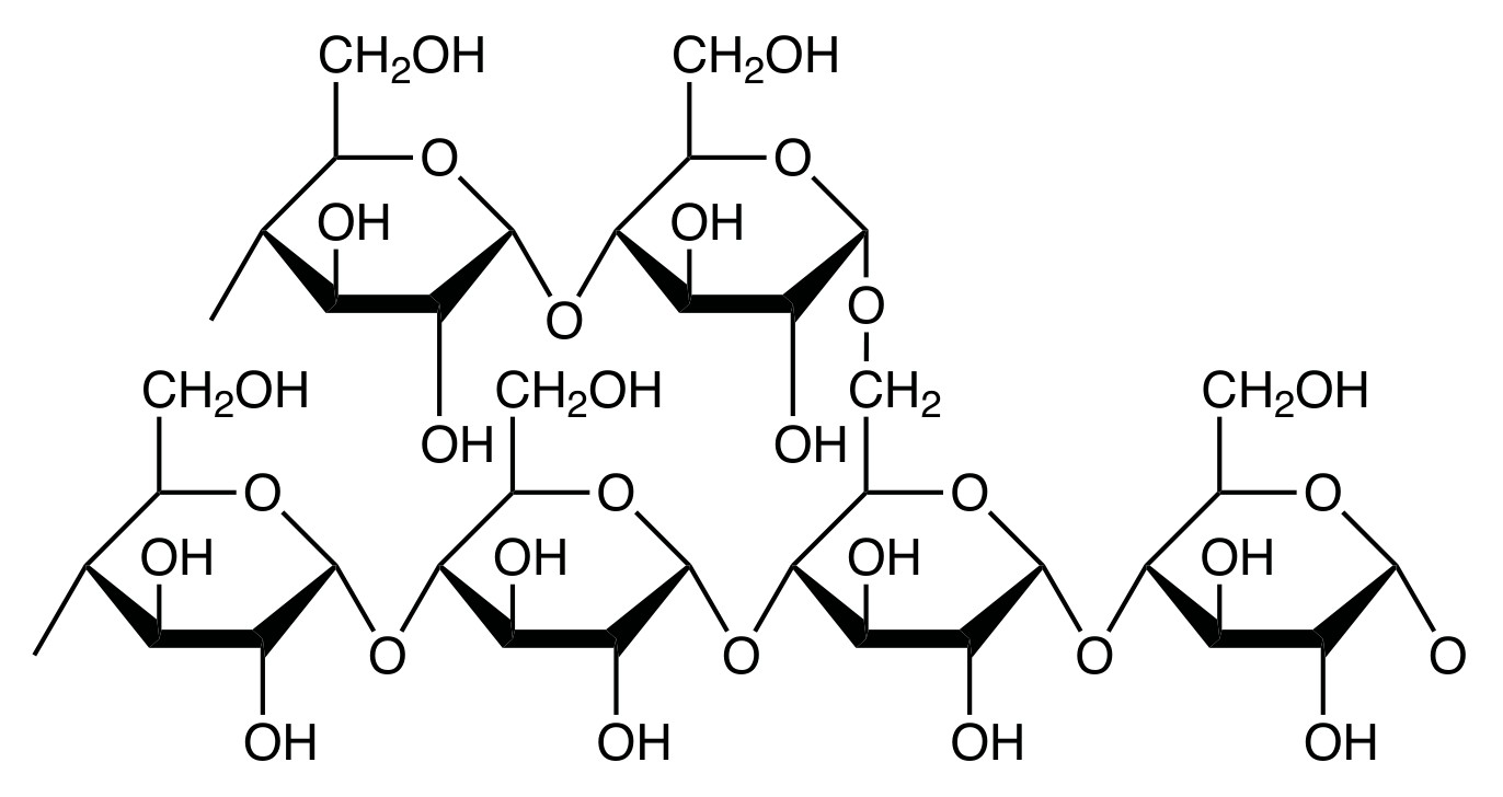 Figure for Question 1 — IB Biology SL — Option A