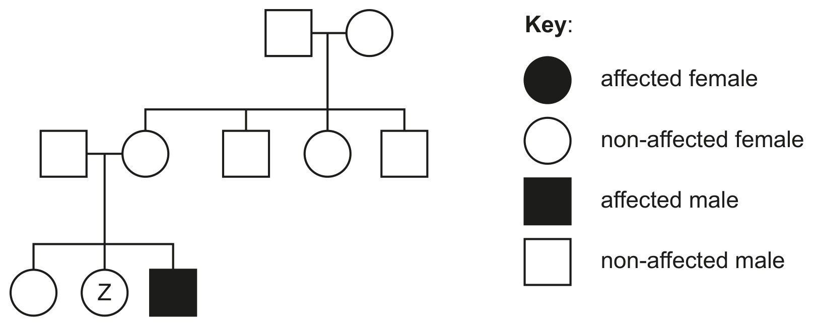 Figure for Question 1 — IB Biology SL
