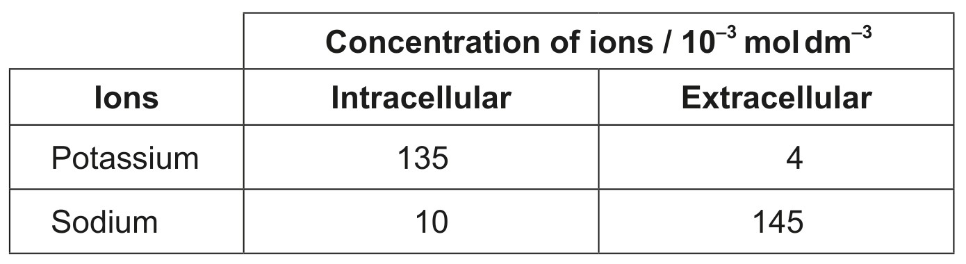 Table for Question 1 — IB Biology SL