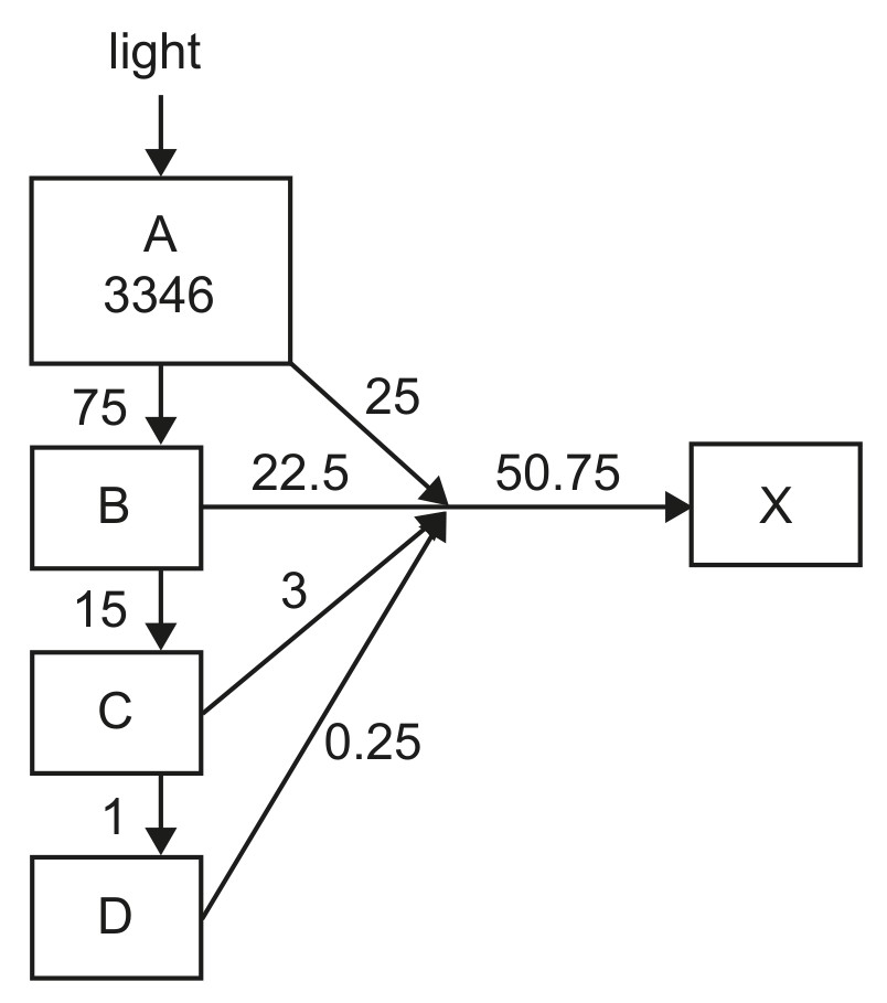 Figure for Question 1 — IB Biology SL