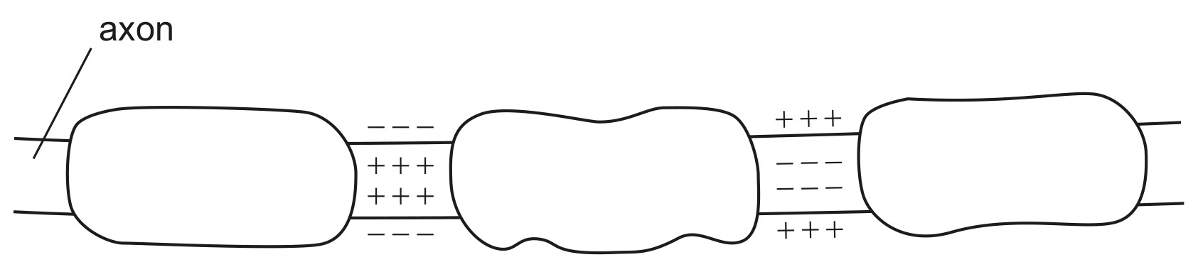 Figure for Question (a) — IB Biology SL