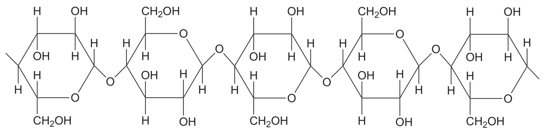 Figure for Question 1 — IB Biology SL