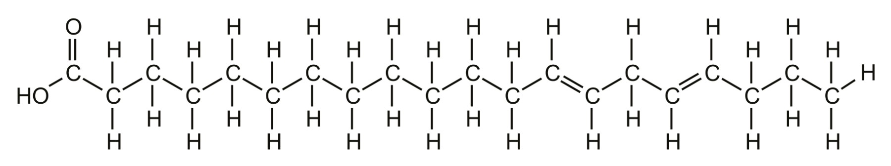 Figure for Question 1 — IB Biology SL