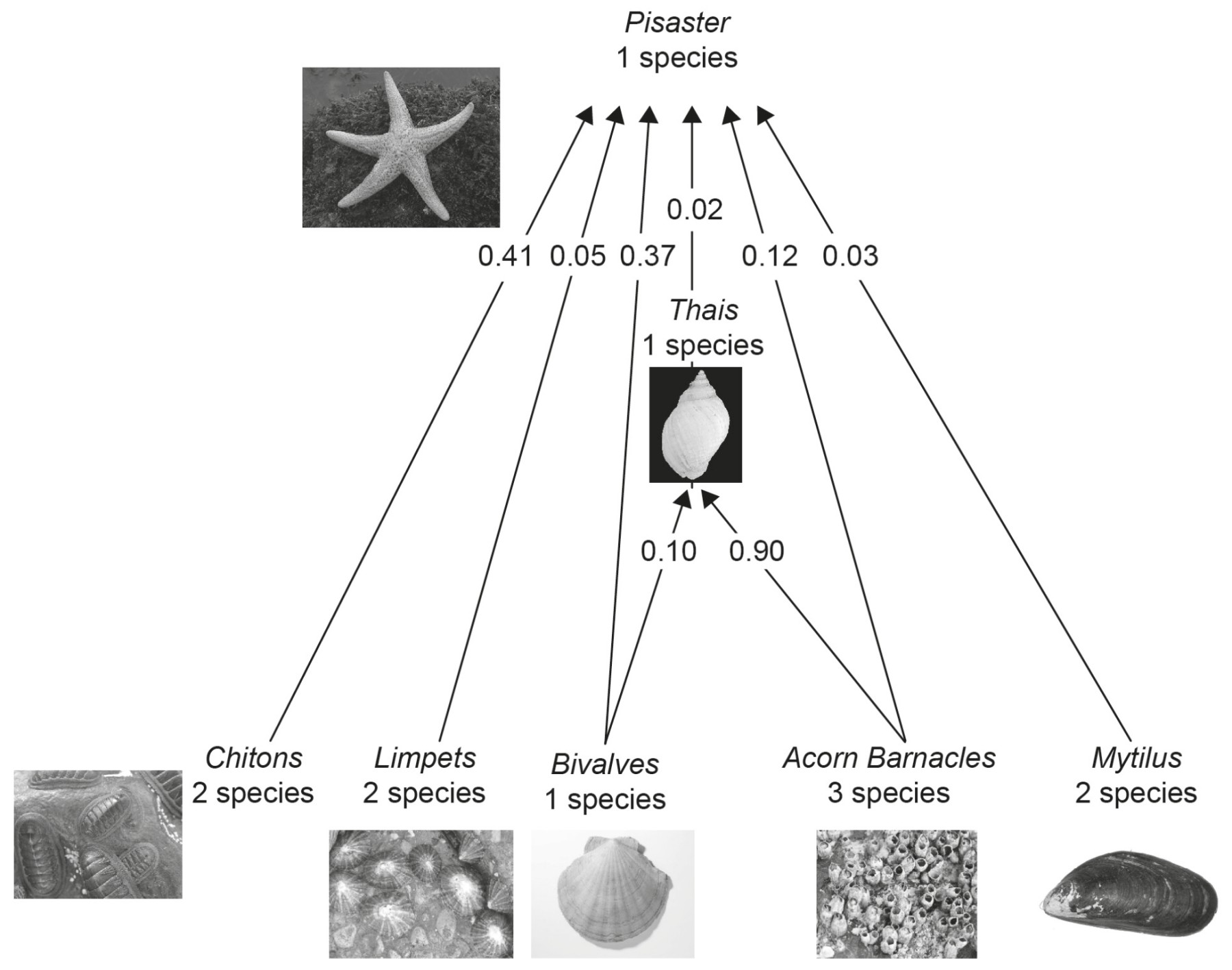 Figure for Question 1 — IB Biology SL