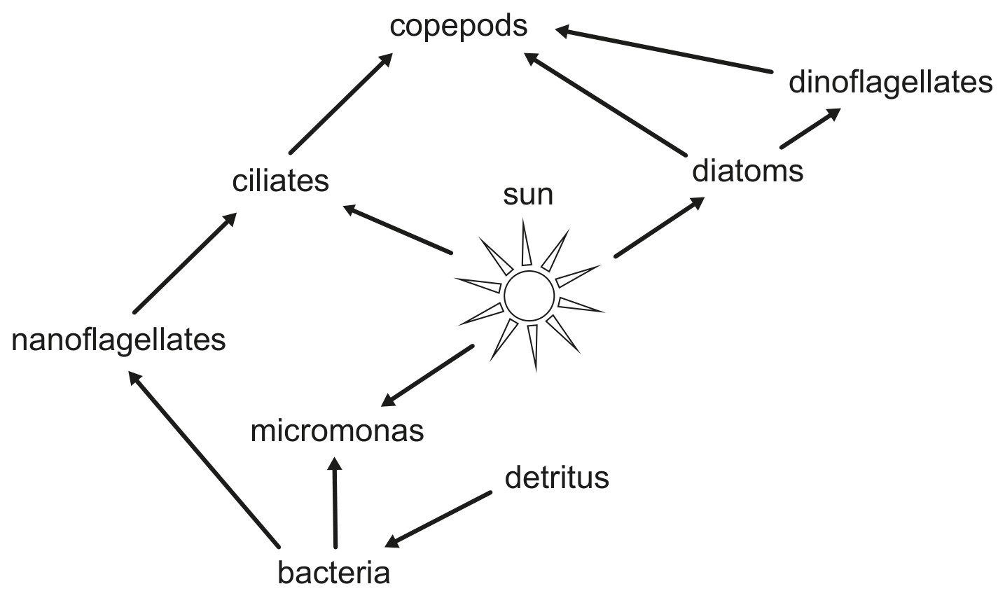 Figure for Question 1 — IB Biology HL
