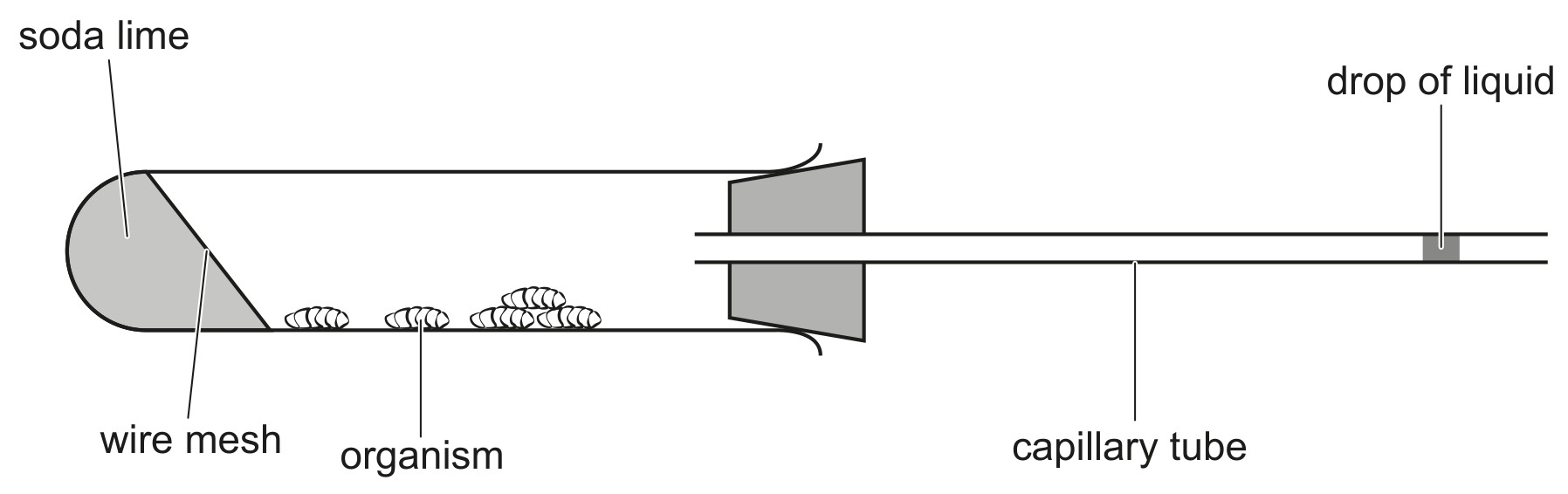 Figure for Question 1 — IB Biology HL