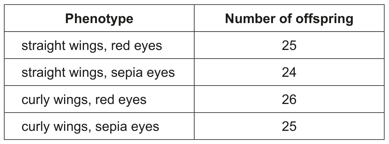 Table for Question 1 — IB Biology HL