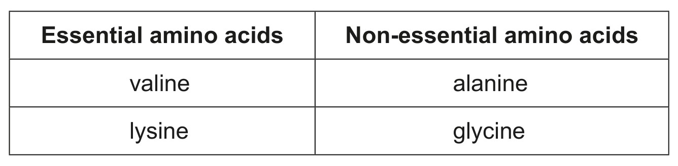 Table for Question 1 — IB Biology HL