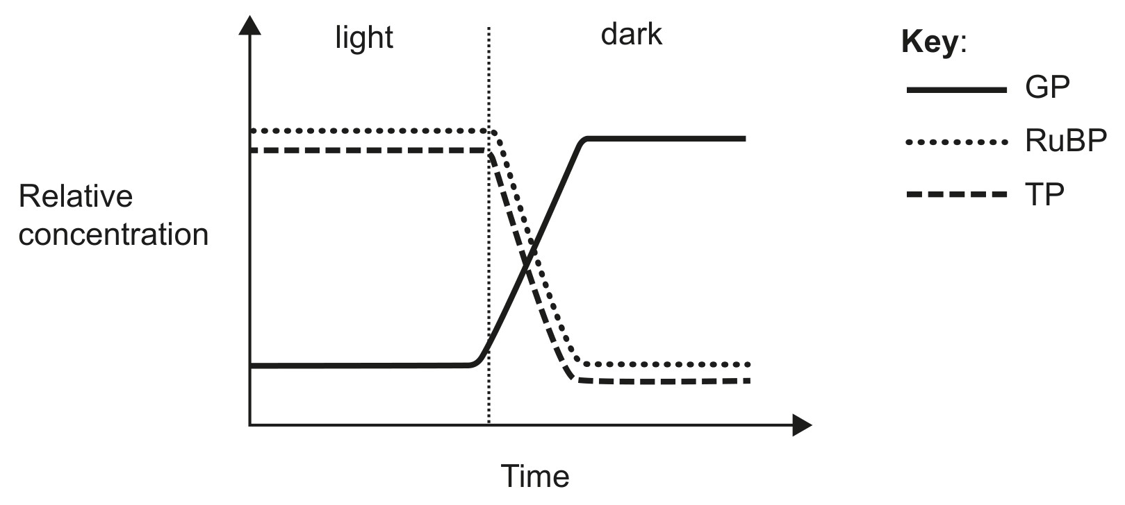 Figure for Question 1 — IB Biology HL