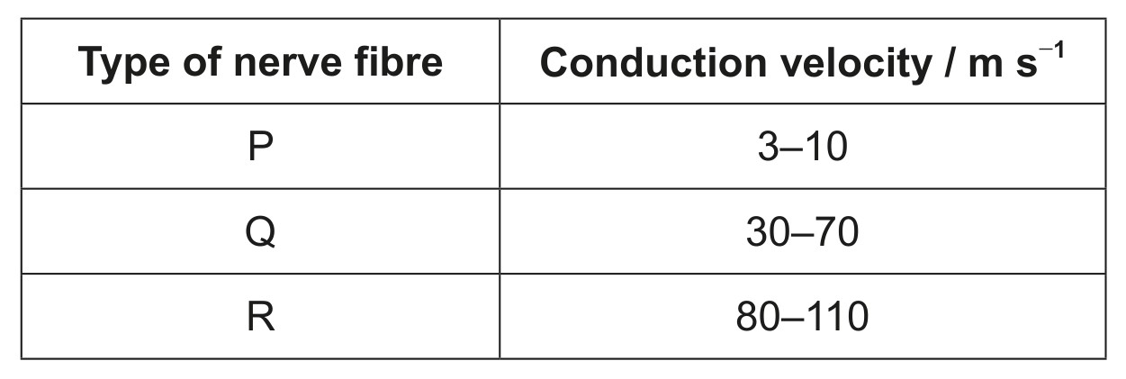 Table for Question 1 — IB Biology HL
