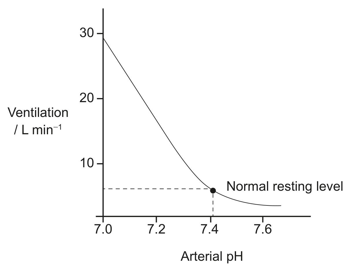 Figure for Question 1 — IB Biology HL