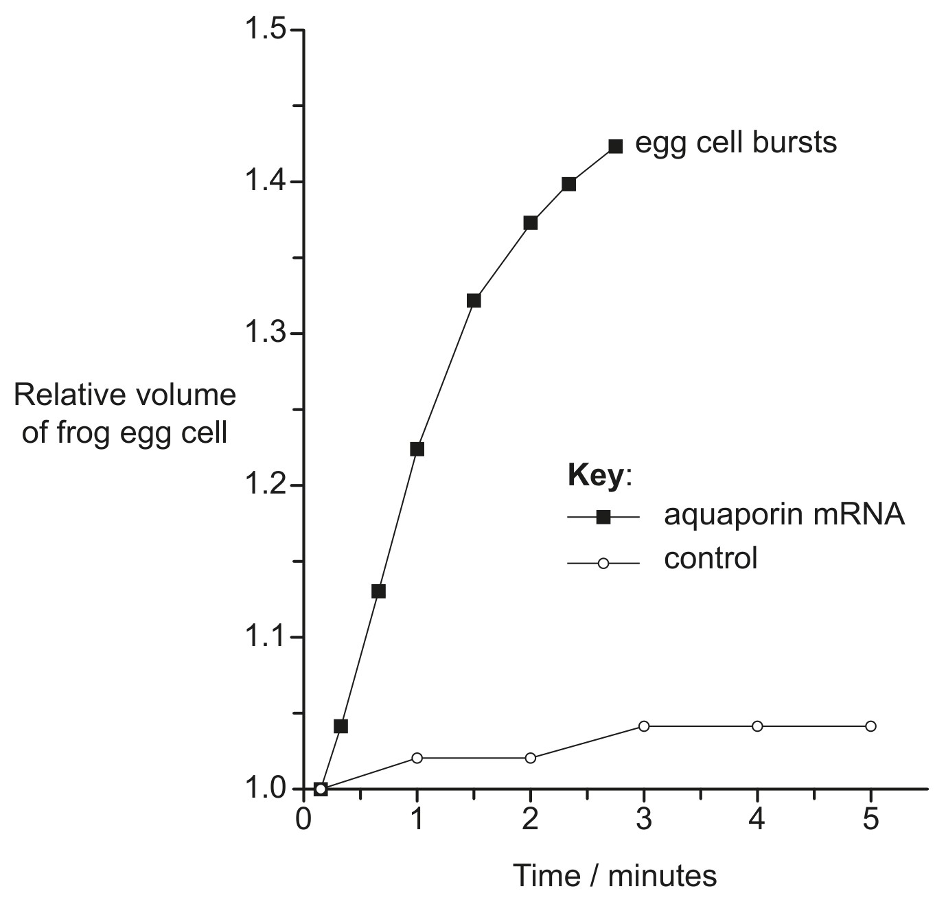 Figure for Question 1 — IB Biology HL