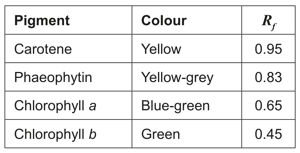 Table for Question 1 — IB Biology HL