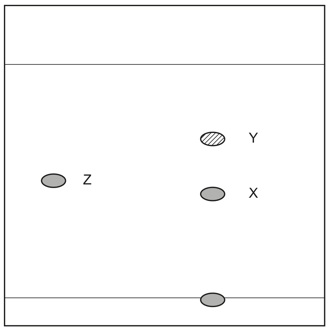 Figure for Question 1 — IB Biology HL