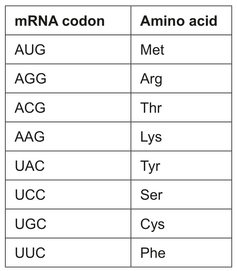 Table for Question 1 — IB Biology HL