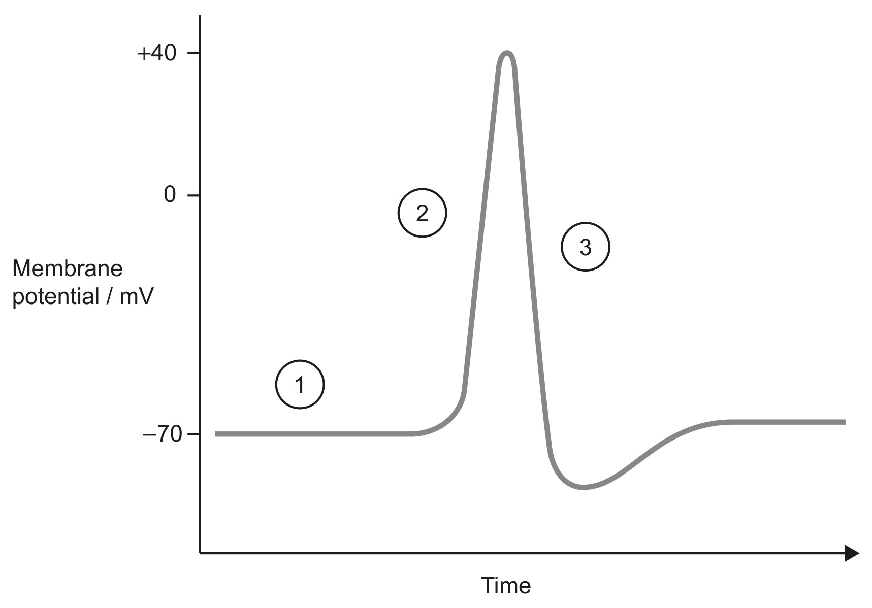 Figure for Question 1 — IB Biology HL