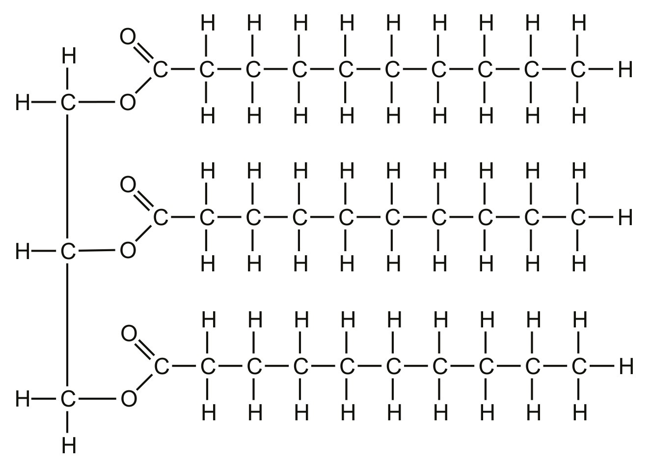 Figure for Question 1 — IB Biology HL