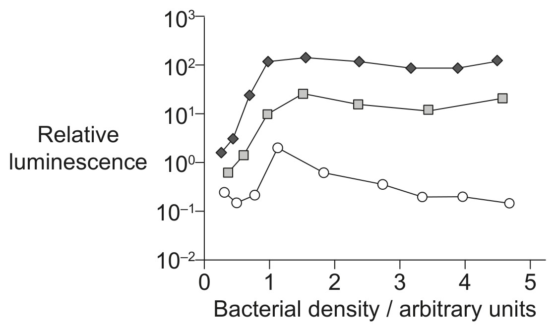 Figure for Question 1 — IB Biology HL