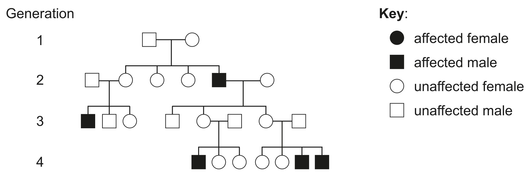 Figure for Question 1 — IB Biology HL