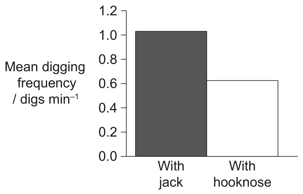 Figure for Question 1 — IB Biology HL