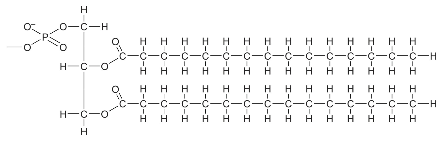 Figure for Question 1 — IB Biology HL — Option A