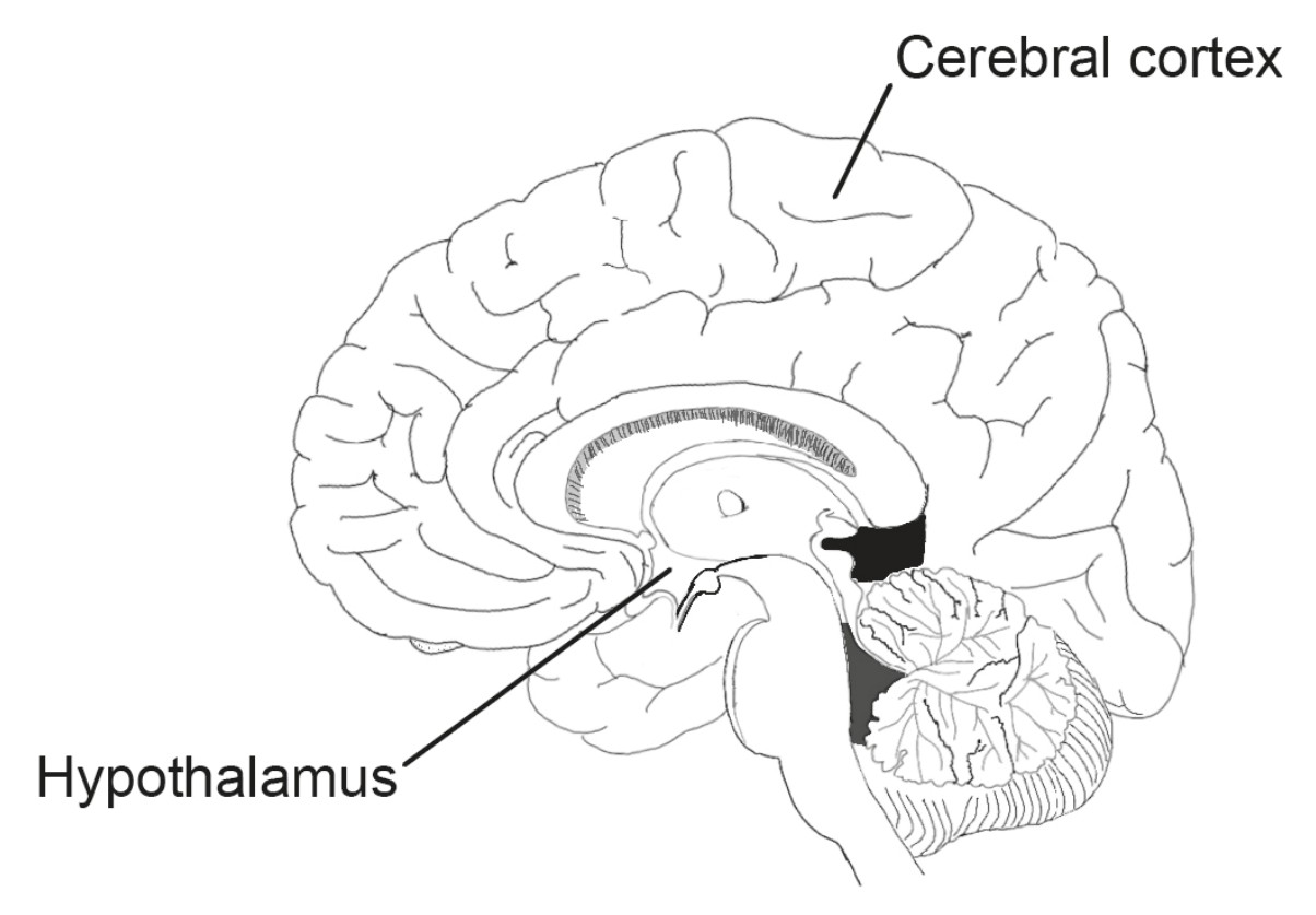Figure for Question 1 — IB Biology HL