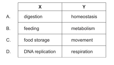 Figure for Question 1 — IB Biology HL