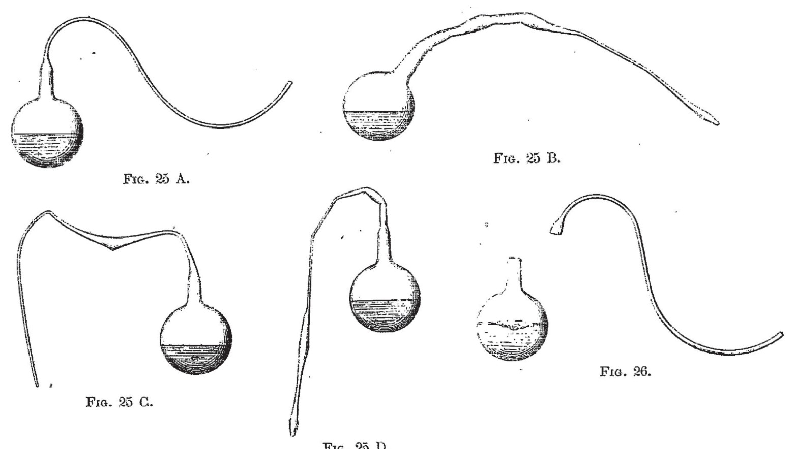 Figure for Question 1 — IB Biology HL