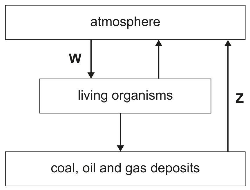 Figure for Question 1 — IB Biology SL
