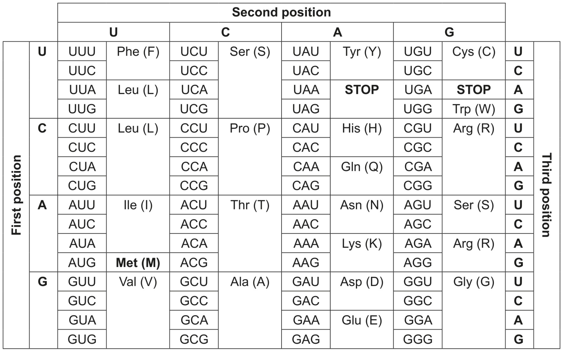 Table for Question 1 — IB Biology HL