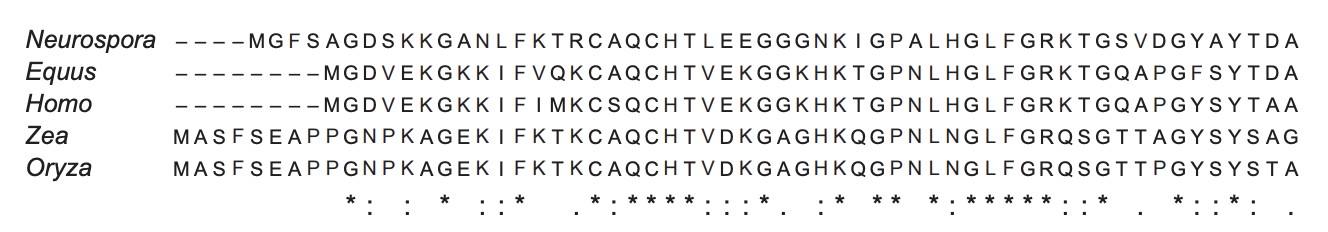 Figure for Question 1 — IB Biology HL